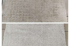 IMG_20260220_200330-scaled