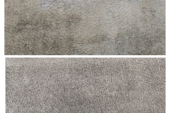 IMG_20260220_200637-scaled